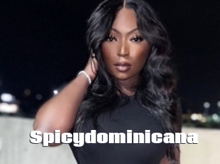 Spicydominicana