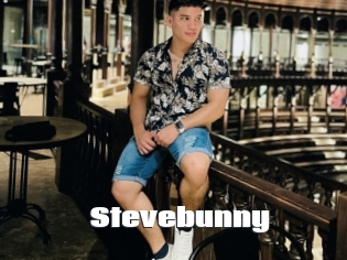 stevebunny The hot porn