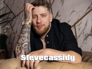 stevecassidy The hot porn