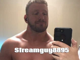Streamguy8895
