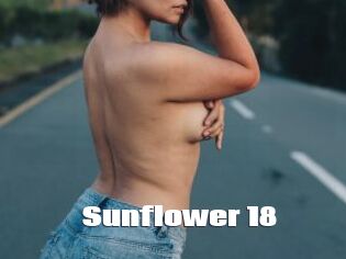 Sunflower_18