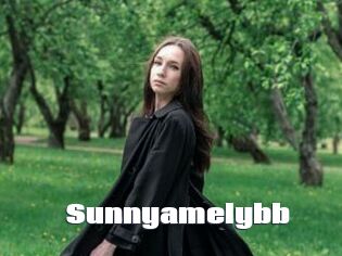 Sunnyamelybb