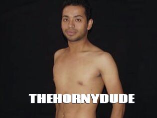 THEHORNYDUDE