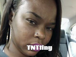 T_N_Ttiny