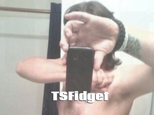 TSFidget