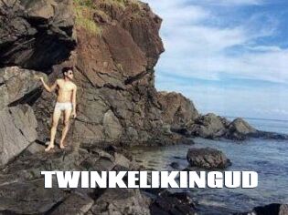 TWINKELIKINGUD