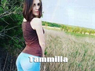 Tammilla_