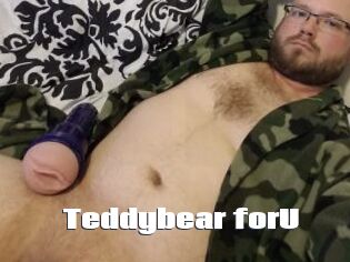 Teddybear_forU