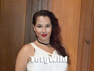 TefyWild