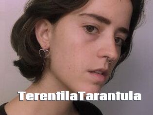TerentilaTarantula