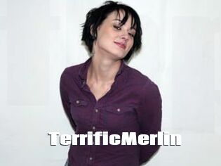 TerrificMerlin