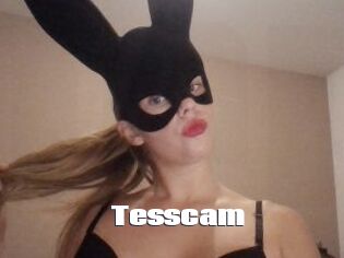 Tesscam