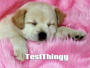 TestThingy
