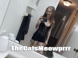 TheCatsMeowprrr