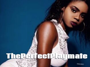 ThePerfectPlaymate