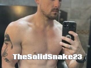 TheSolidSnake23 The hot porn