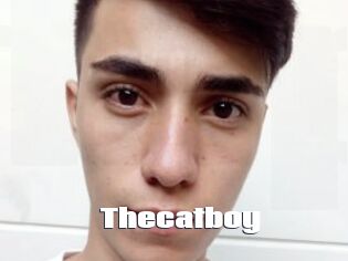 Thecatboy