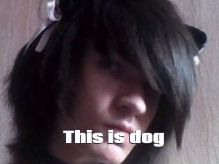 This_is_dog