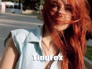 TinyFox