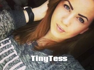 TinyTess