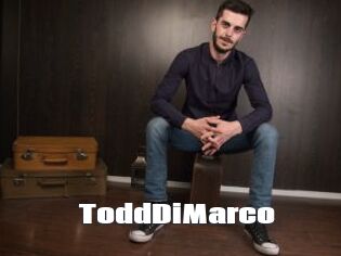 ToddDiMarco