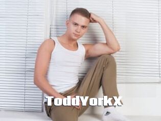 ToddYorkX