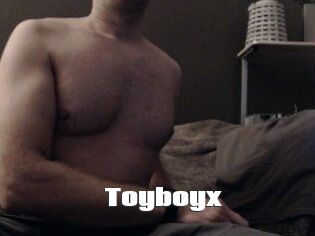 Toyboyx