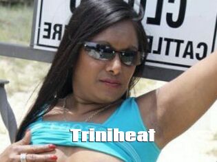 Triniheat