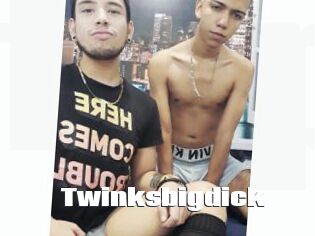 Twinksbigdick