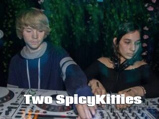Two_SpicyKitties