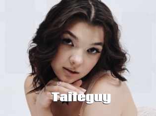 Taiteguy