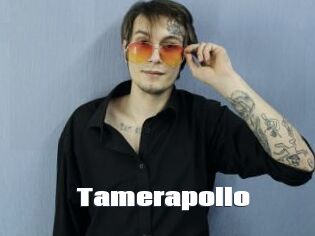 Tamerapollo