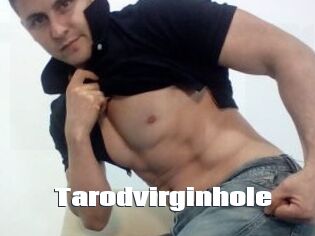 Tarodvirginhole