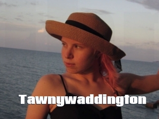 Tawnywaddington