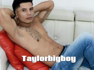 Taylorbigboy