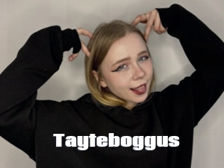 Tayteboggus