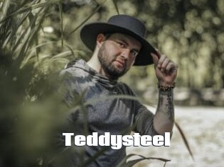 Teddysteel