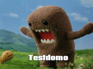 Testdomo