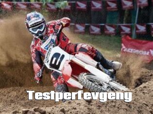 Testperfevgeny