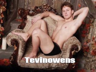 Tevinowens