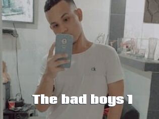 The_bad_boys_1