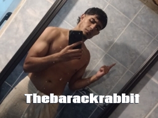 Thebarackrabbit