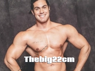 Thebig22cm