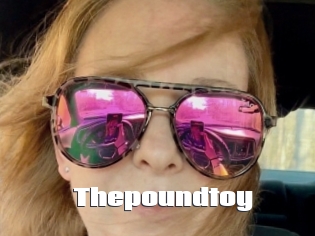 Thepoundtoy