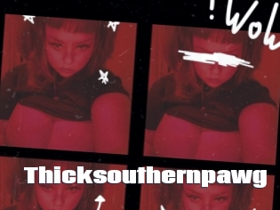 Thicksouthernpawg