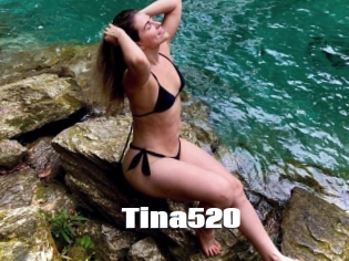 Tina520
