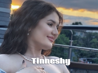 Tinneshy