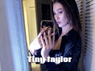 Tiny_taylor