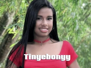 Tinyebonyy