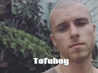 Tofu_boy